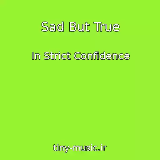 کاور آهنگ Sad But True از In Strict Confidence