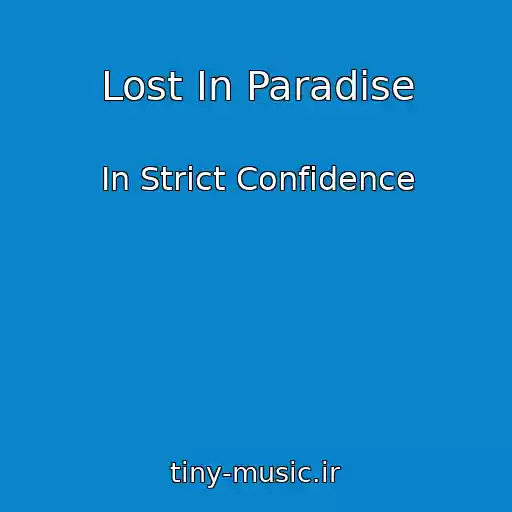 کاور آهنگ Lost In Paradise از In Strict Confidence