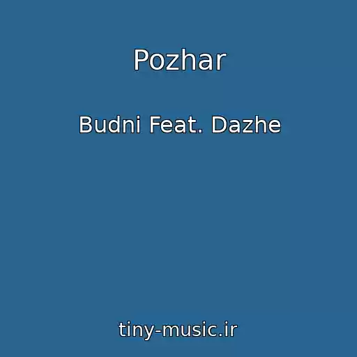 کاور آهنگ Pozhar از Budni Feat. Dazhe