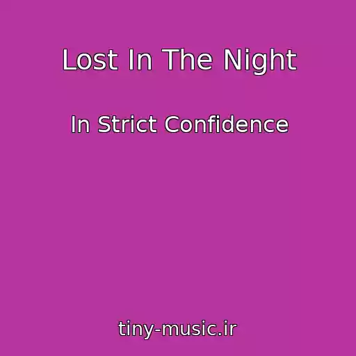 کاور آهنگ Lost In The Night از In Strict Confidence