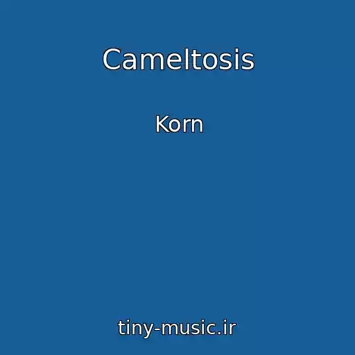کاور آهنگ Cameltosis از Korn
