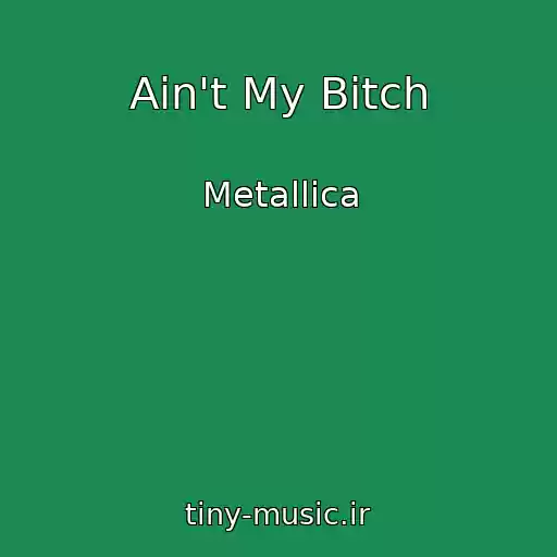 کاور آهنگ Ain't My Bitch از Metallica