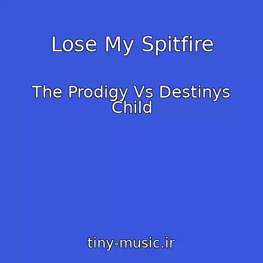 کاور آهنگ Lose My Spitfire از The Prodigy Vs Destinys Child