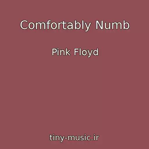 کاور آهنگ Comfortably Numb از Pink Floyd