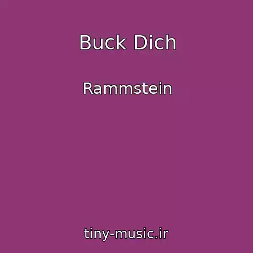 کاور آهنگ Buck Dich از Rammstein