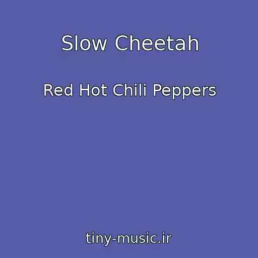 کاور آهنگ Slow Cheetah از Red Hot Chili Peppers