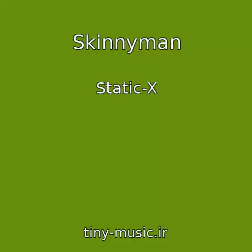 کاور آهنگ Skinnyman از Static-X