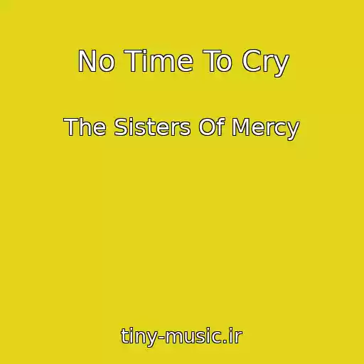 کاور آهنگ No Time To Cry از The Sisters Of Mercy