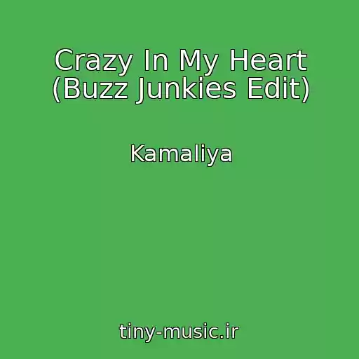 کاور آهنگ Crazy In My Heart (Buzz Junkies Edit) از Kamaliya