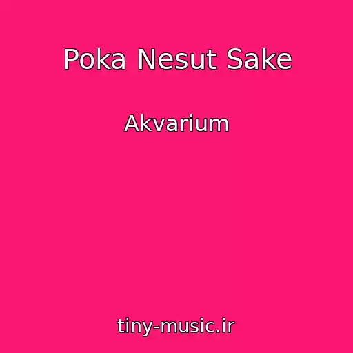 کاور آهنگ Poka Nesut Sake از Akvarium