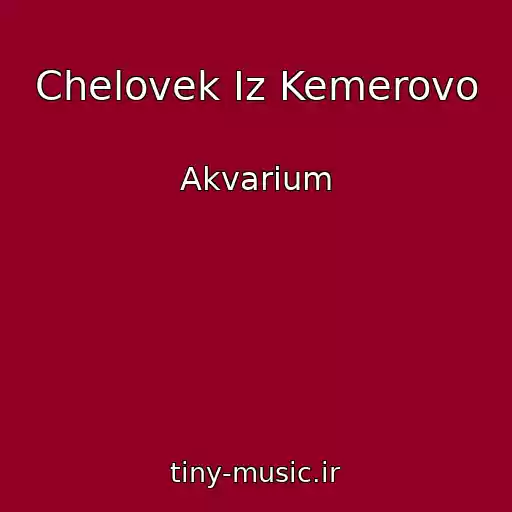 کاور آهنگ Chelovek Iz Kemerovo از Akvarium