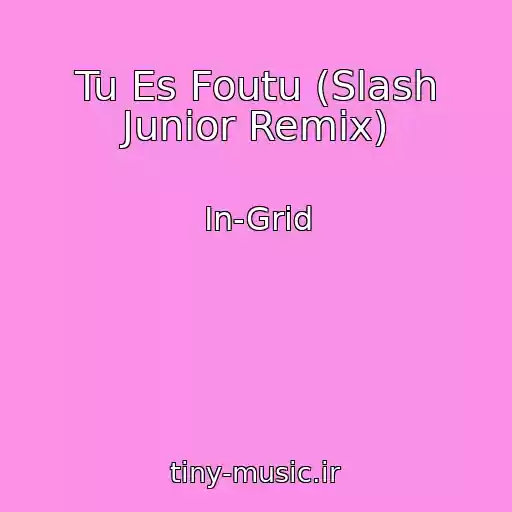 کاور آهنگ Tu Es Foutu (Slash Junior Remix) از In-Grid