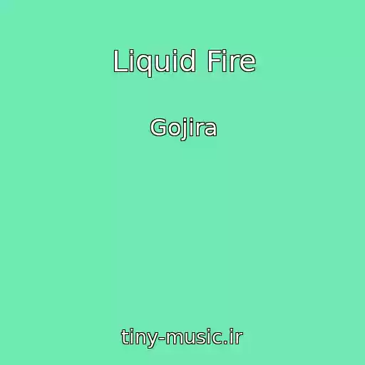 کاور آهنگ Liquid Fire از Gojira