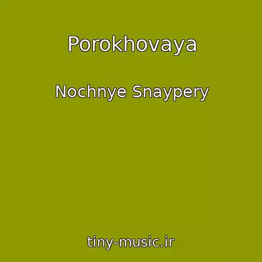 کاور آهنگ Porokhovaya از Nochnye Snaypery