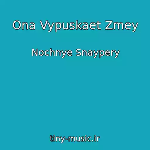 کاور آهنگ Ona Vypuskaet Zmey از Nochnye Snaypery