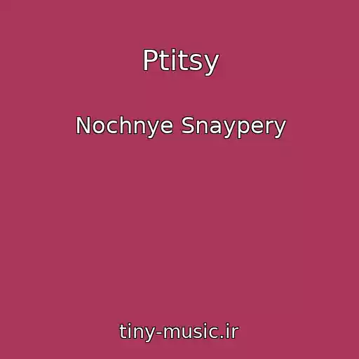 کاور آهنگ Ptitsy از Nochnye Snaypery