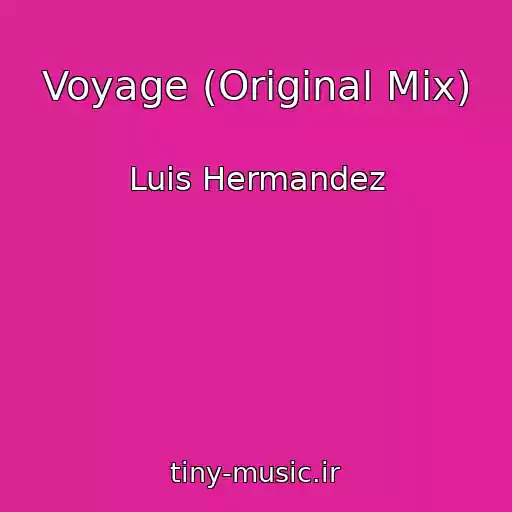 کاور آهنگ Voyage (Original Mix) از Luis Hermandez