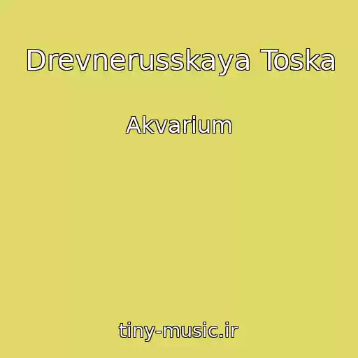 کاور آهنگ Drevnerusskaya Toska از Akvarium