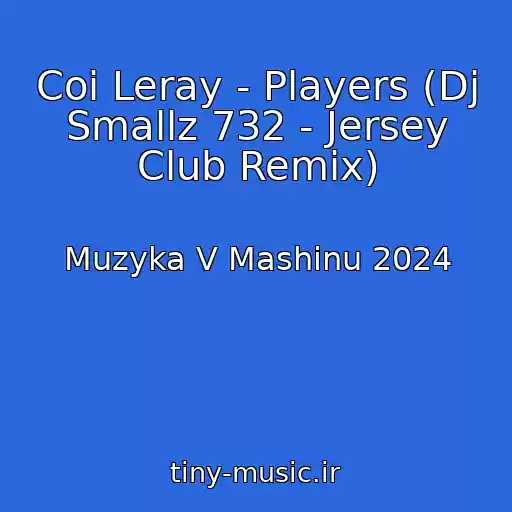 کاور آهنگ Coi Leray - Players (Dj Smallz 732 - Jersey Club Remix) از Muzyka V Mashinu 2024