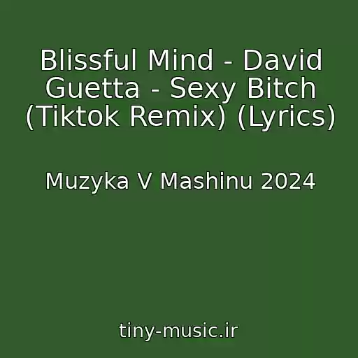 کاور آهنگ Blissful Mind - David Guetta - Sexy Bitch (Tiktok Remix) (Lyrics) از Muzyka V Mashinu 2024