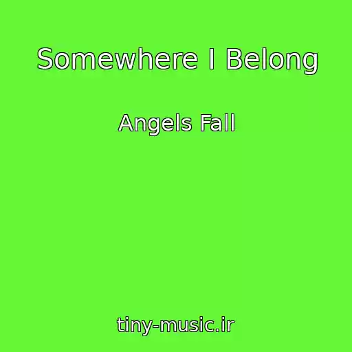 کاور آهنگ Somewhere I Belong از Angels Fall