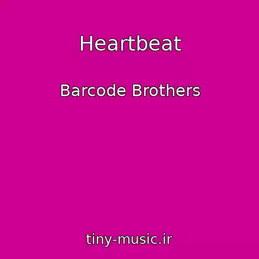 کاور آهنگ Heartbeat از Barcode Brothers
