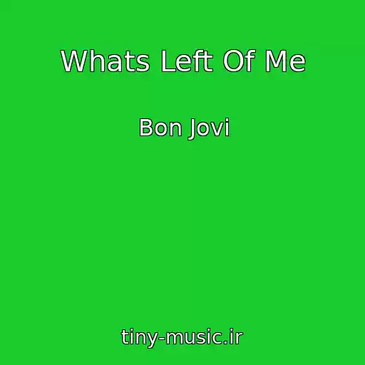 کاور آهنگ Whats Left Of Me از Bon Jovi