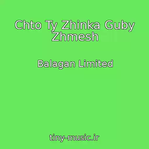 کاور آهنگ Chto Ty Zhinka Guby Zhmesh از Balagan Limited