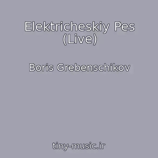 کاور آهنگ Elektricheskiy Pes (Live) از Boris Grebenschikov