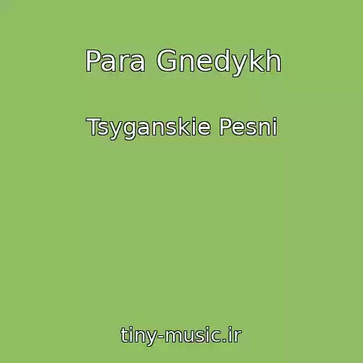 کاور آهنگ Para Gnedykh از Tsyganskie Pesni