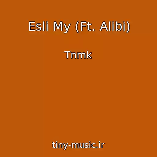 کاور آهنگ Esli My (Ft. Alibi) از Tnmk