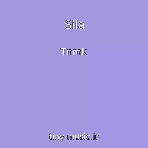 کاور آهنگ Sila از Tnmk