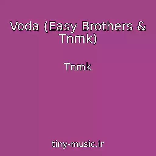 کاور آهنگ Voda (Easy Brothers & Tnmk) از Tnmk