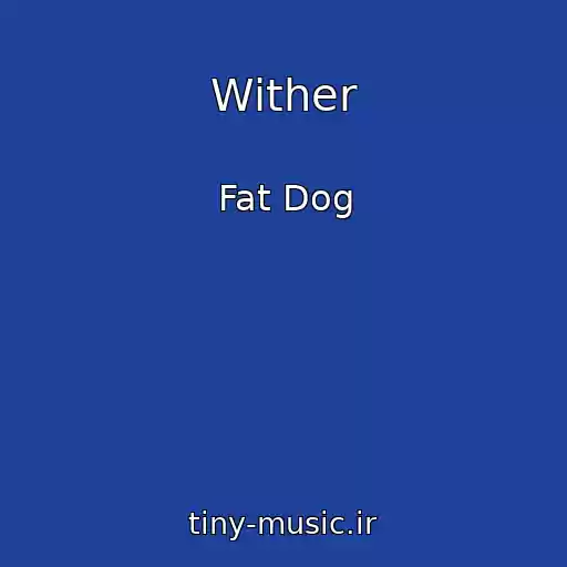 کاور آهنگ Wither از Fat Dog