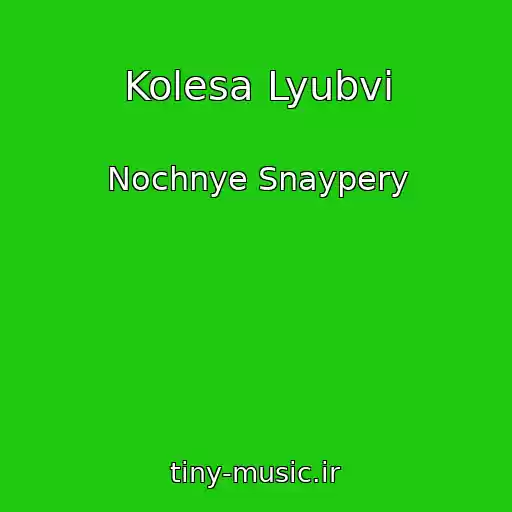 کاور آهنگ Kolesa Lyubvi از Nochnye Snaypery