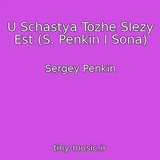کاور آهنگ U Schastya Tozhe Slezy Est (S. Penkin I Sona) از Sergey Penkin