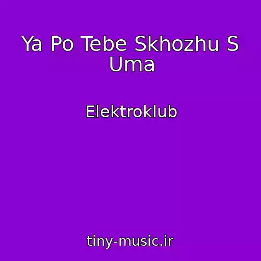 کاور آهنگ Ya Po Tebe Skhozhu S Uma از Elektroklub