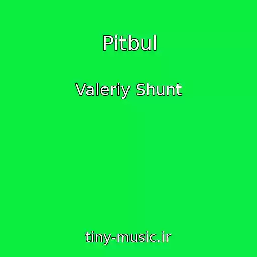 کاور آهنگ Pitbul از Valeriy Shunt