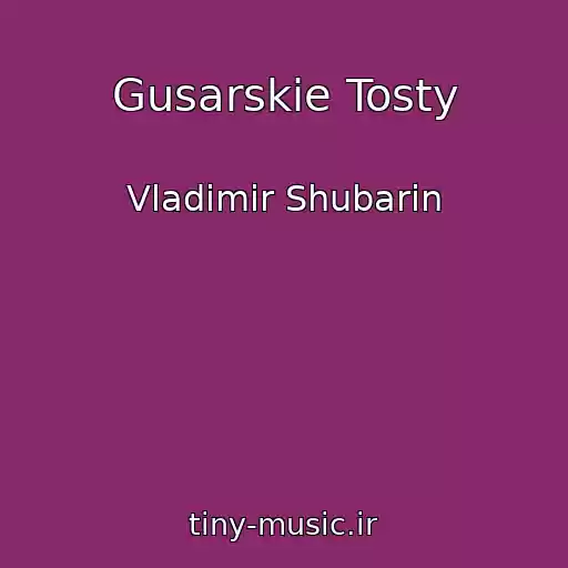 کاور آهنگ Gusarskie Tosty از Vladimir Shubarin