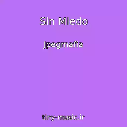 کاور آهنگ Sin Miedo از Jpegmafia