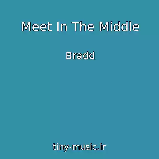 کاور آهنگ Meet In The Middle از Bradd