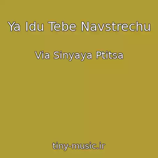 کاور آهنگ Ya Idu Tebe Navstrechu از Via Sinyaya Ptitsa