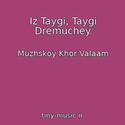 کاور آهنگ Iz Taygi, Taygi Dremuchey از Muzhskoy Khor Valaam