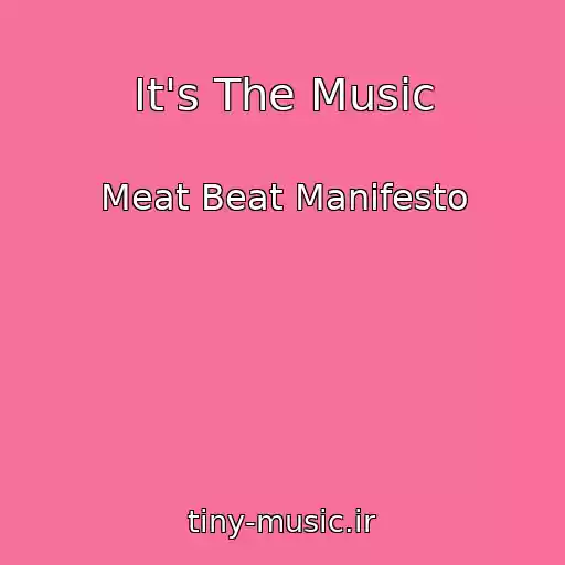 کاور آهنگ It's The Music از Meat Beat Manifesto