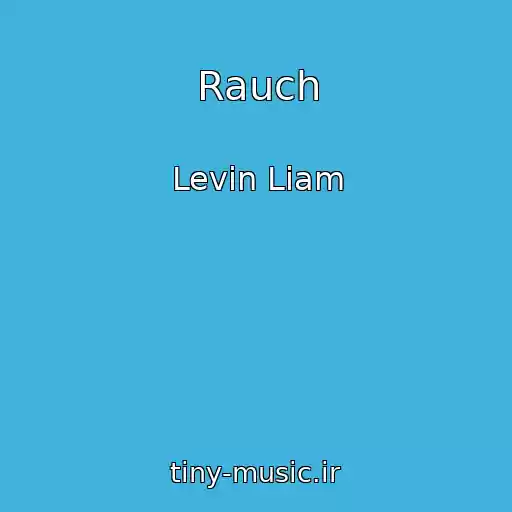 کاور آهنگ Rauch از Levin Liam