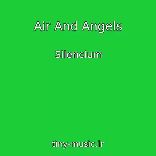 کاور آهنگ Air And Angels از Silencium