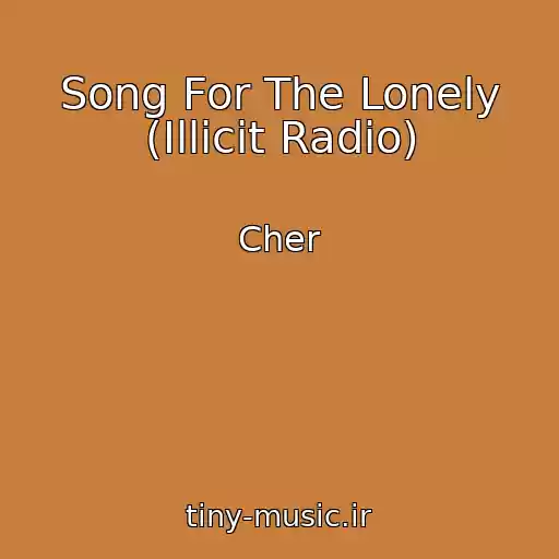 کاور آهنگ Song For The Lonely (Illicit Radio) از Cher
