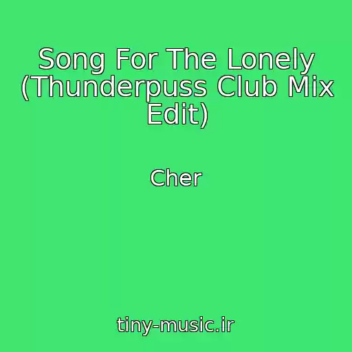کاور آهنگ Song For The Lonely (Thunderpuss Club Mix Edit) از Cher