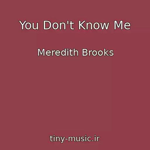 کاور آهنگ You Don't Know Me از Meredith Brooks