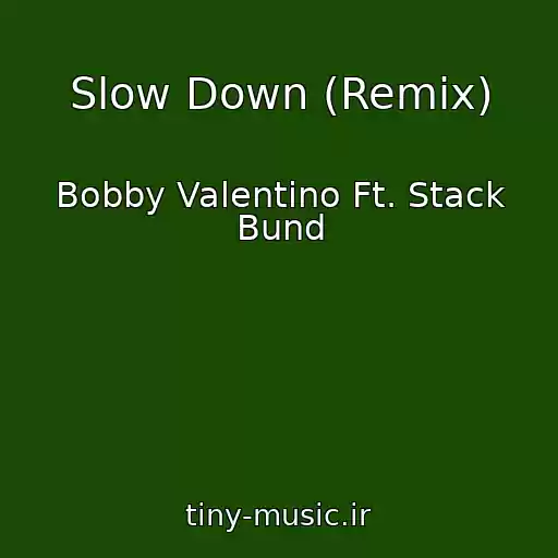 کاور آهنگ Slow Down (Remix) از Bobby Valentino Ft. Stack Bund